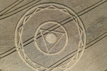 Imagem ilustrativa da imagem Agroglifos: desenhos ‘misteriosos’ que aparecem em plantação de Santa Catarina