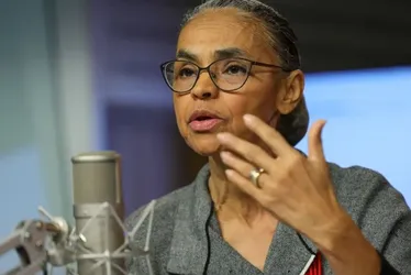 
          Imagem ilustrativa da imagem Após vetos caírem, governo e ONGs avaliam ir à Justiça por licenciamento ambiental
          