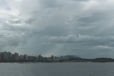 
          Imagem ilustrativa da imagem Árvores caídas e estragos em 14 cidades após chuva
          