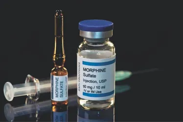 
          Imagem ilustrativa da imagem Até morfina pode reprovar no exame antidrogas para tirar a primeira habilitação
          