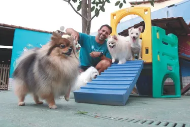 Imagem ilustrativa da imagem Aumenta a procura por planos de saúde e hotéis para cães