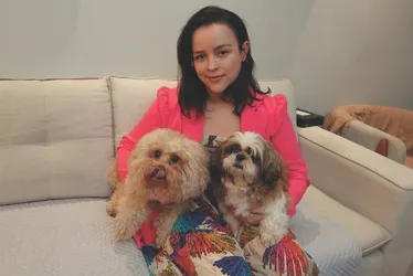 Imagem ilustrativa da imagem Aumenta a procura por planos de saúde e hotéis para cães