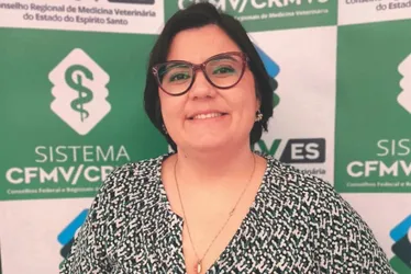 Imagem ilustrativa da imagem Aumenta a procura por planos de saúde e hotéis para cães