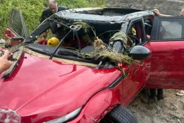 
          Imagem ilustrativa da imagem Bebê e casal de estrangeiros morrem após carro ser arrastado por enxurrada
          