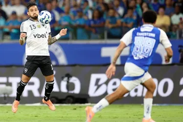 
          Imagem ilustrativa da imagem Botafogo empata no fim contra o Cruzeiro e dá o vice-campeonato ao Palmeiras
          