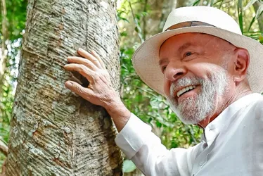 Imagem ilustrativa da imagem COP 30, a hora da verdade