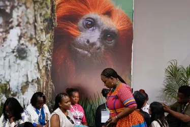 Imagem ilustrativa da imagem COP30: financiamento, transição e adaptação são centro das negociações