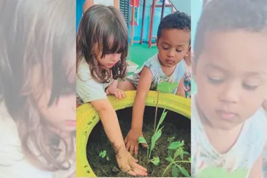 Imagem ilustrativa da imagem COP30 inspira projetos em escolas da Grande Vitória