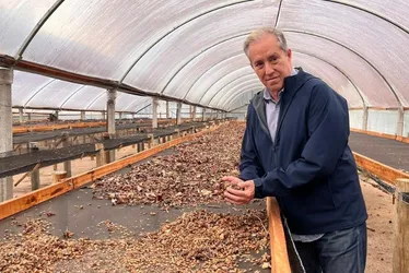 Imagem ilustrativa da imagem Capixabas em destaque no “Oscar” dos cafés especiais