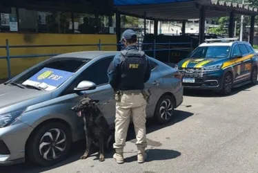 Imagem ilustrativa da imagem Carga de haxixe é encontrada por cão farejador escondida em banco de carro em Viana