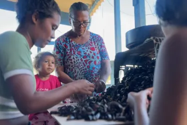 Imagem ilustrativa da imagem Cartilha reforça direitos das marisqueiras e paneleiras capixabas
