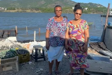 Imagem ilustrativa da imagem Cartilha reforça direitos das marisqueiras e paneleiras capixabas