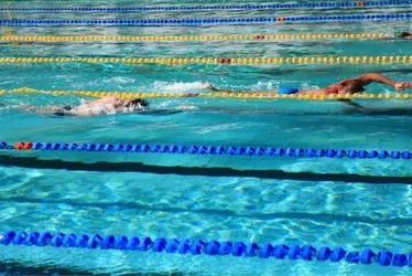 Imagem ilustrativa da imagem Clube Álvares Cabral recebe promessas da natação até sábado