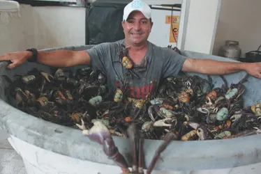 Imagem ilustrativa da imagem Comerciante capixaba faz "mergulho” em piscina de caranguejos