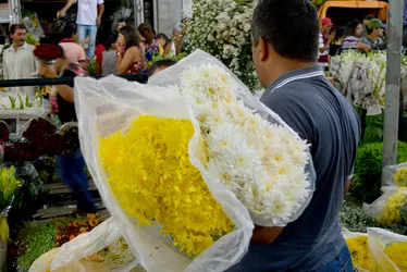 Imagem ilustrativa da imagem Comércio no Recife e RMR terá funcionamento facultativo no feriado de Finados