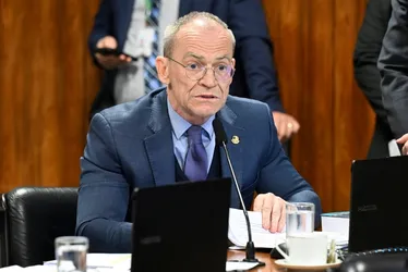 Imagem ilustrativa da imagem Contarato é eleito para comandar CPI do crime organizado no Senado