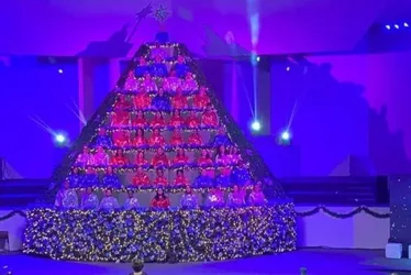 
          Imagem ilustrativa da imagem Convites para “Árvore que Canta” a partir de segunda-feira
          