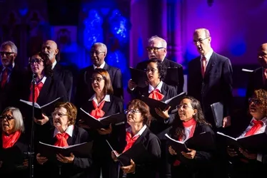 
          Imagem ilustrativa da imagem Coral ArcelorMittal inicia apresentações de Natal gratuitas nesta sexta-feira
          