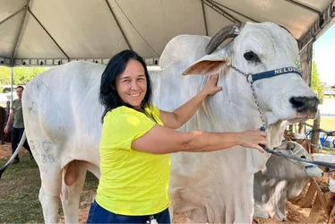 Imagem ilustrativa da imagem Criado em pastos do ES, gado "zero dentes" faz sucesso no exterior