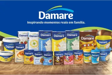 Imagem ilustrativa da imagem Damare renova identidade visual e fortalece conexão com as famílias