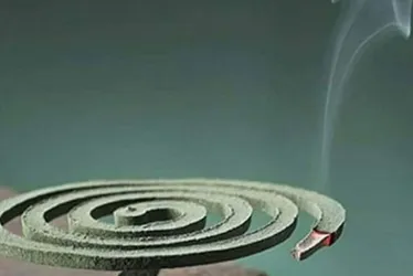 
          Imagem ilustrativa da imagem Do papel preso à gravata de Raymundo da Fonte nasceram fábricas e um legado inteiro
          