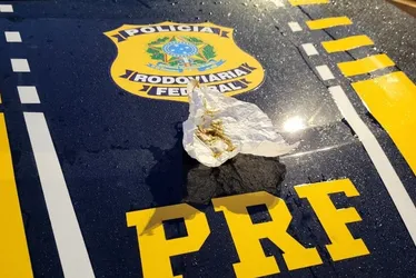 
          Imagem ilustrativa da imagem "Droga gourmet" avaliada em até R$ 300 por grama é apreendida pela PRF na Serra
          