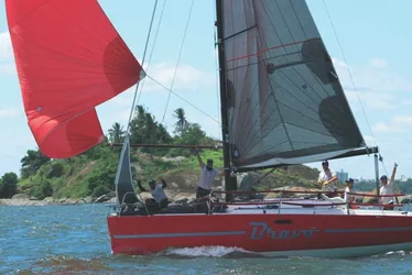 Imagem ilustrativa da imagem ES terá quatro veleiros em circuito no Rio de Janeiro