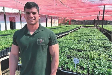 
          Imagem ilustrativa da imagem Ecoturismo e aventura em passeio por Itaguaçu
          