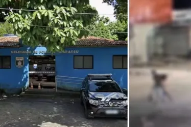 Imagem ilustrativa da imagem Em Igarassu, suspeito leva vítima em cavalo e abandona corpo atrás da delegacia