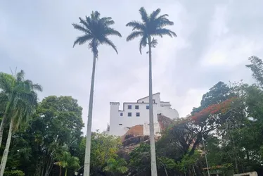 
          Imagem ilustrativa da imagem Festa da Penha de 2026 terá mais de 50 missas e 14 romarias
          