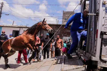 Imagem ilustrativa da imagem “Fim da era das carroças”: primeiros condutores recebem bikes e indenização