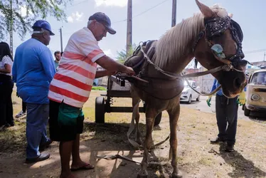 Imagem ilustrativa da imagem “Fim da era das carroças”: primeiros condutores recebem bikes e indenização