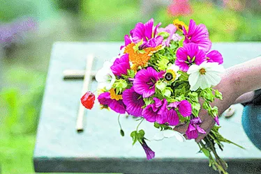 Imagem ilustrativa da imagem Finados: variação do preço de flores chega a 400% em Vitória