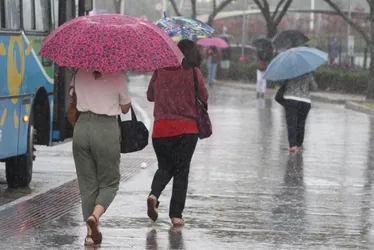 
          Imagem ilustrativa da imagem Final de semana deve ser de tempestade e queda de granizo em todo o ES
          