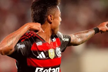 
          Imagem ilustrativa da imagem Flamengo tenta confirmar título brasileiro antes de batalha pela Libertadores
          