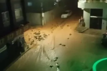 Imagem ilustrativa da imagem Governo do ES vai auxiliar município de Muniz Freire contra impactos após chuvas