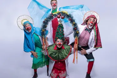 
          Imagem ilustrativa da imagem Hospitais públicos do Recife recebem espetáculo natalino dos Doutores da Alegria
          