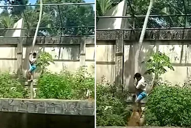 
          Imagem ilustrativa da imagem Jovem morto em zoo tinha transtornos mentais e queria cuidar de leões na África
          