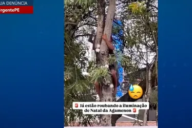 
          Imagem ilustrativa da imagem Ladrões estão roubando até decoração natalina
          