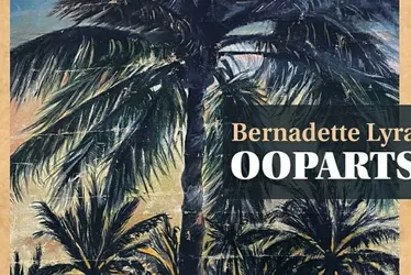 Imagem ilustrativa da imagem Livro reúne contos esgotados da capixaba Bernadette Lyra