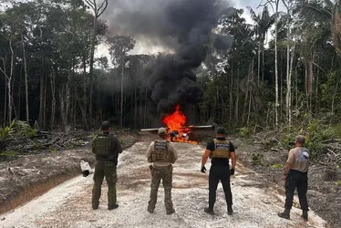 Imagem ilustrativa da imagem Minicracolândias e droga mais forte que o crack: as novas dinâmicas do tráfico na Amazônia
