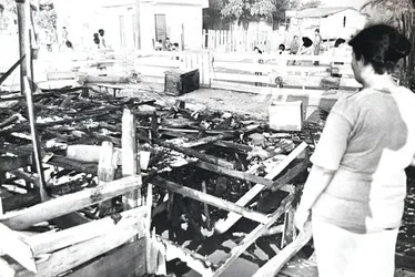 
          Imagem ilustrativa da imagem Morre Romero Mendonça, fotógrafo de A Tribuna e do Governo do ES, aos 71 anos
          