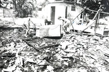 
          Imagem ilustrativa da imagem Morre Romero Mendonça, fotógrafo de A Tribuna e do Governo do ES, aos 71 anos
          