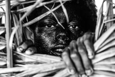 Imagem ilustrativa da imagem Últimos dias para visitar o PEBA, a mostra mais vista da história da Caixa Cultural