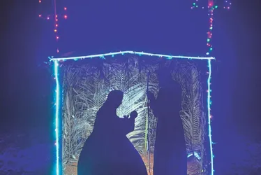 
          Imagem ilustrativa da imagem Musical de Natal com mais de 130 crianças em Jardim Camburi
          