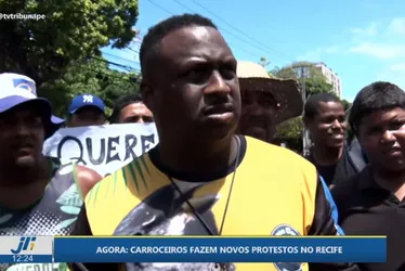 
          Imagem ilustrativa da imagem Nas ruas do Recife, drama dos carroceiros x pressão dos defensores da causa animal
          