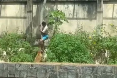 
          Imagem ilustrativa da imagem O que se sabe o sobre caso do jovem morto em ataque de leoa após invadir jaula
          