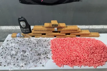 Imagem ilustrativa da imagem PM apreende mais de 2 mil pinos de cocaína e quase 8 kg de maconha em Cariacica