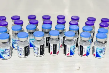 
          Imagem ilustrativa da imagem Pernambuco recebe primeira remessa da vacina contra o Vírus Sincicial Respiratório
          