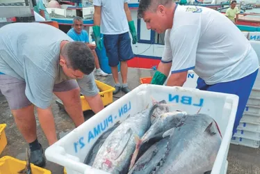 Imagem ilustrativa da imagem Pescadores cobram ações do Governo Federal para se livrar do tarifaço